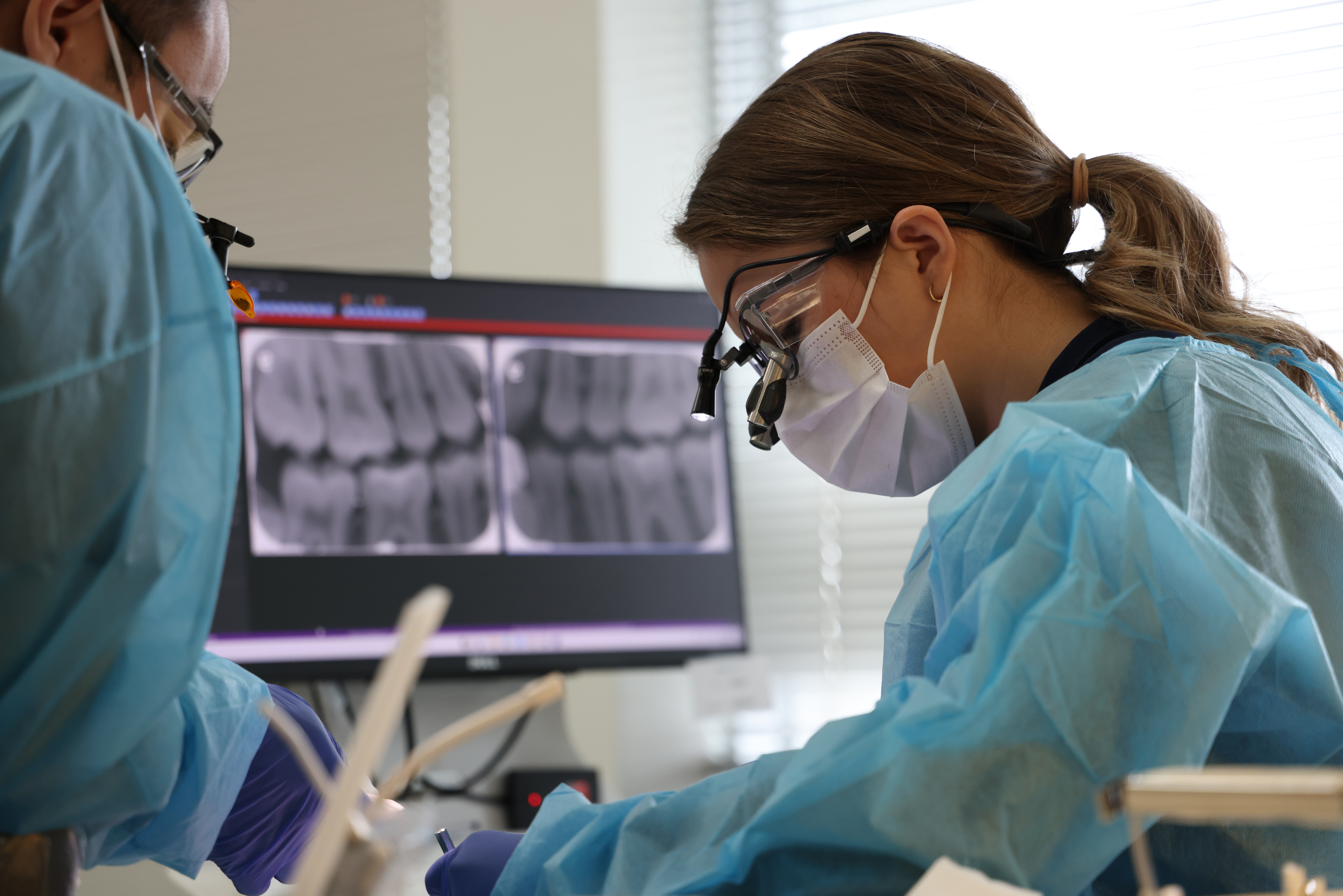 Clinical Education image