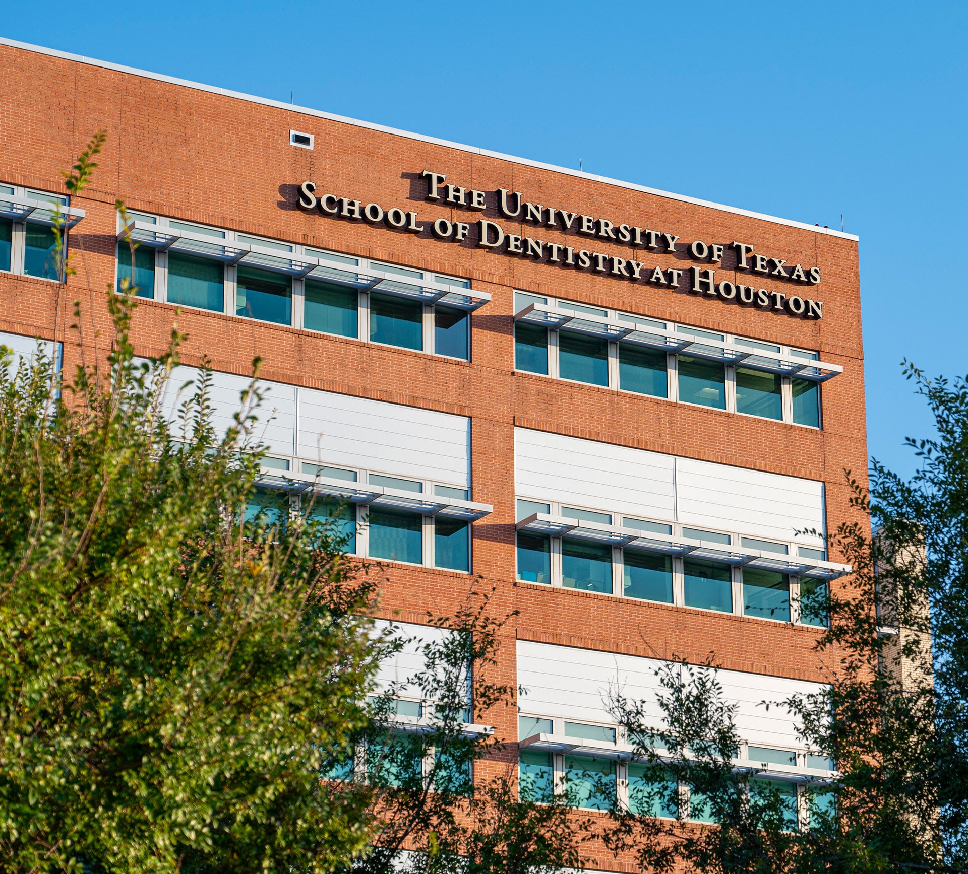 School of Dentistry exterior