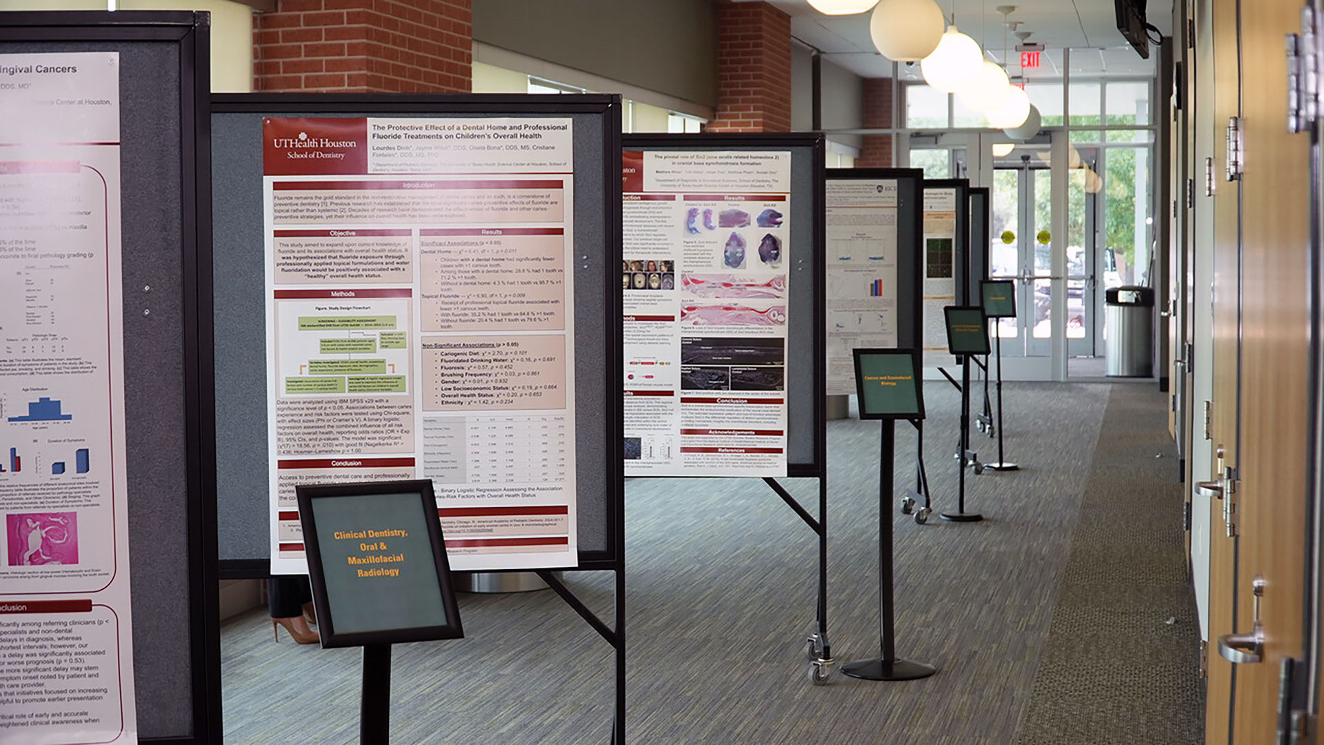 Research posters on display in a hallway 
