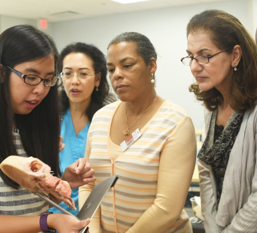 Dr. Vuvi Nguyen (far left) shows three Academic Health Careers Fellowship participants how plastinated specimens are now used to teach anatomy.