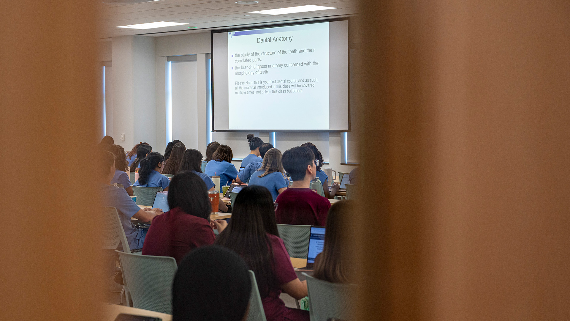 A group of students sit at desks facing a projected Dental Anatomy slide during a classroom lecture.