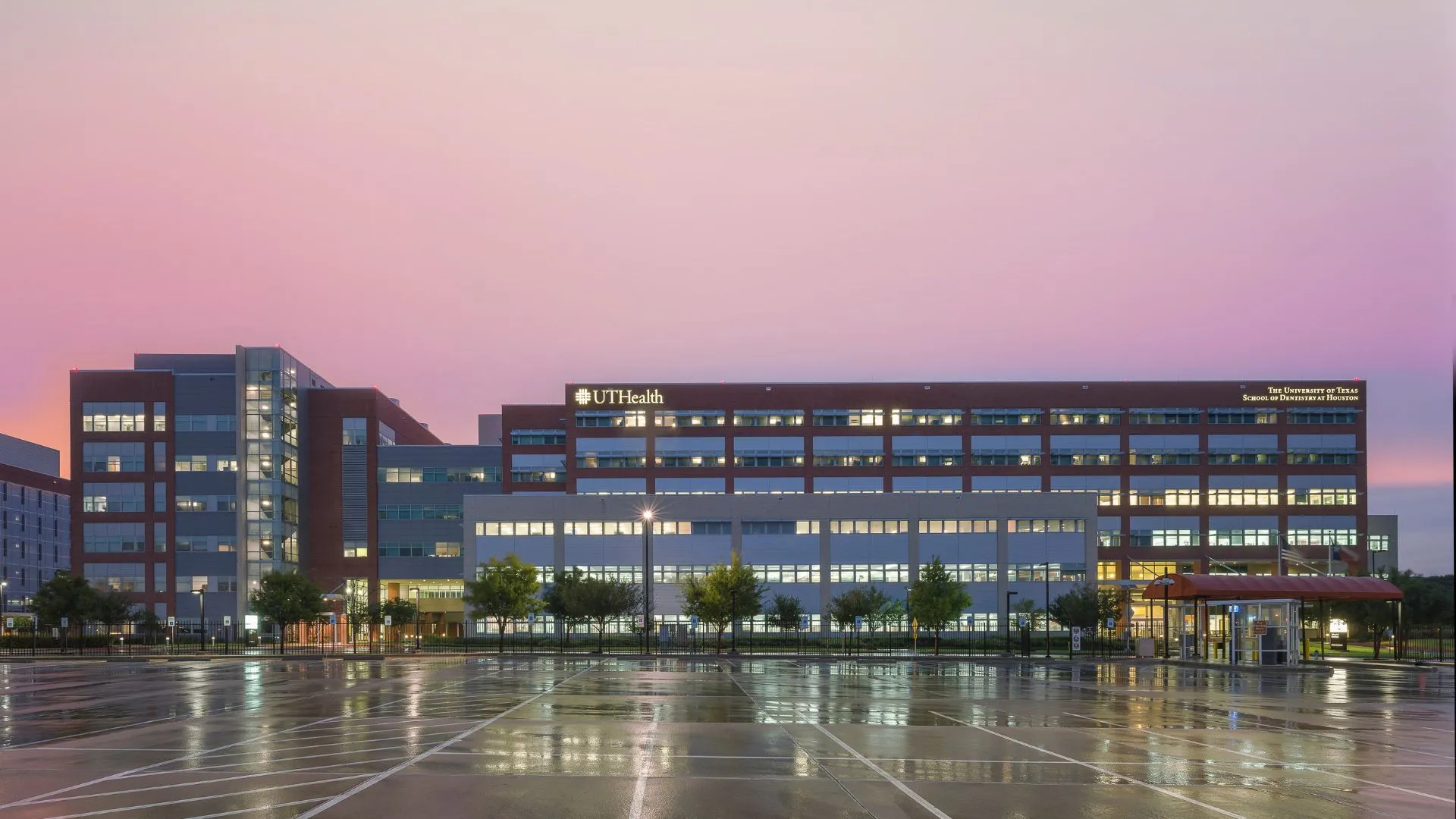 UTHealth Houston School of Dentistry ranks eighth nationally and first in Texas among U.S. dental schools that received research funding from the National Institute of Dental and Craniofacial Research. (Photo by UTHealth Houston)