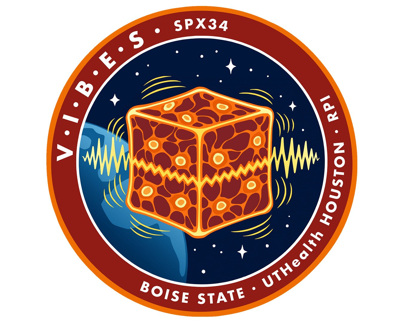 A circular mission patch shows an orange cellular-pattern cube with a zigzag line, yellow waveforms radiating outward, and Earth in a starry backdrop. The border text reads “VIBES,” “SPX34,” “Boise State,” and “UTHealth Houston.”