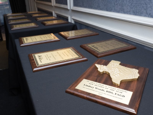 Dr. Lindsey Wendt's Texas New Dentist of the Year Award. Photo courtesy of the Texas Academy of General Dentistry.