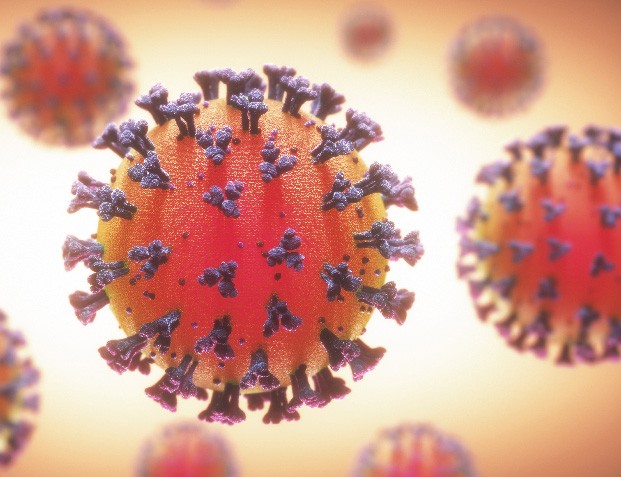 close-up of the novel coronavirus, orange with purple spkes