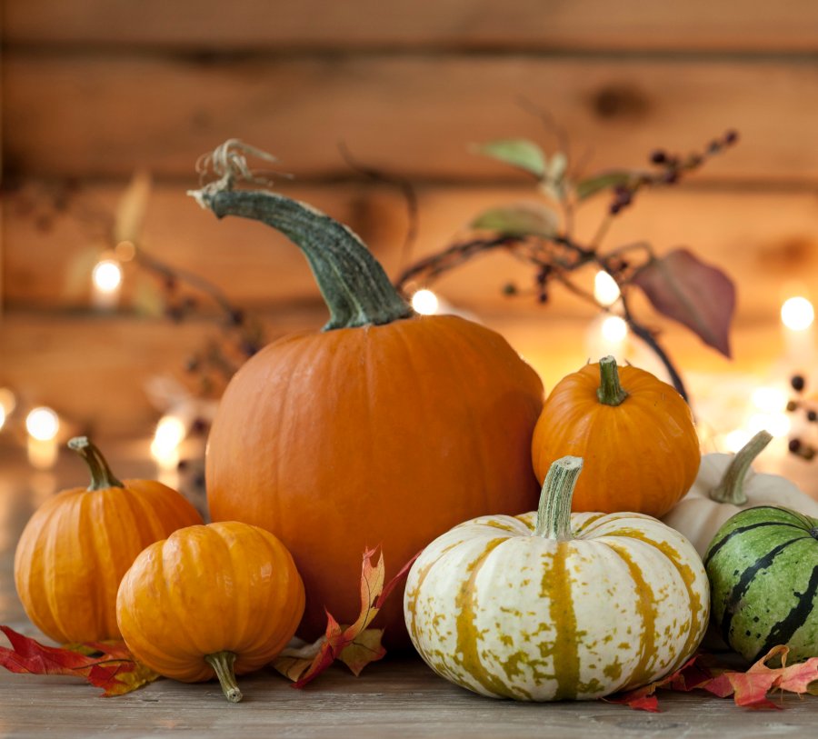 Four orange pumpkins, one white-and-orange pumpkin, in front of a wooden background strung with small white lights
