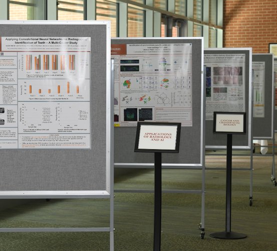 Boards with research findings on display.
