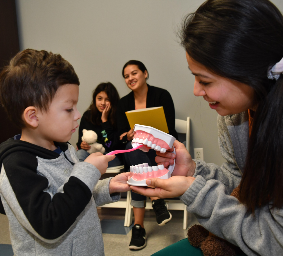 A dental student holds a mock-up of human teeth and gums while a little boy practices brushing the teeth. His mother and sister watch from background.