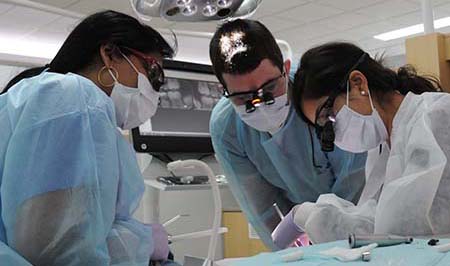 students perform procedure