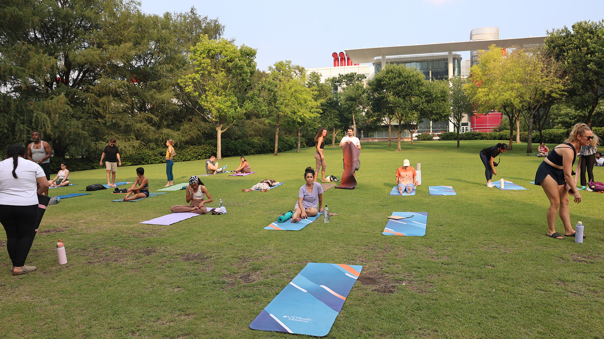 Placeholder image of the UTHealth Houston tapestry logo