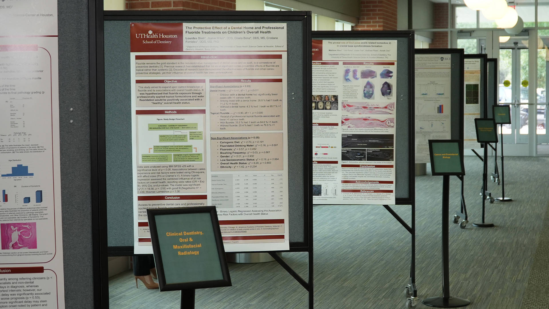 Display boards featuring research posters arranged in a hallway exhibition area.