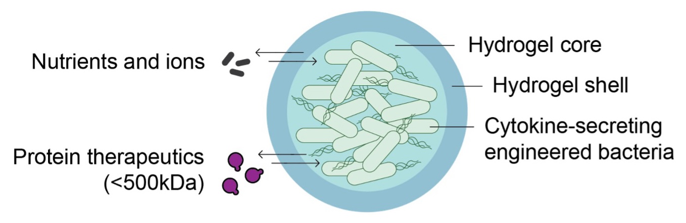 micro-cytokine.jpg