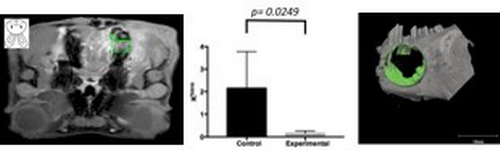 Development of Compromised Photo