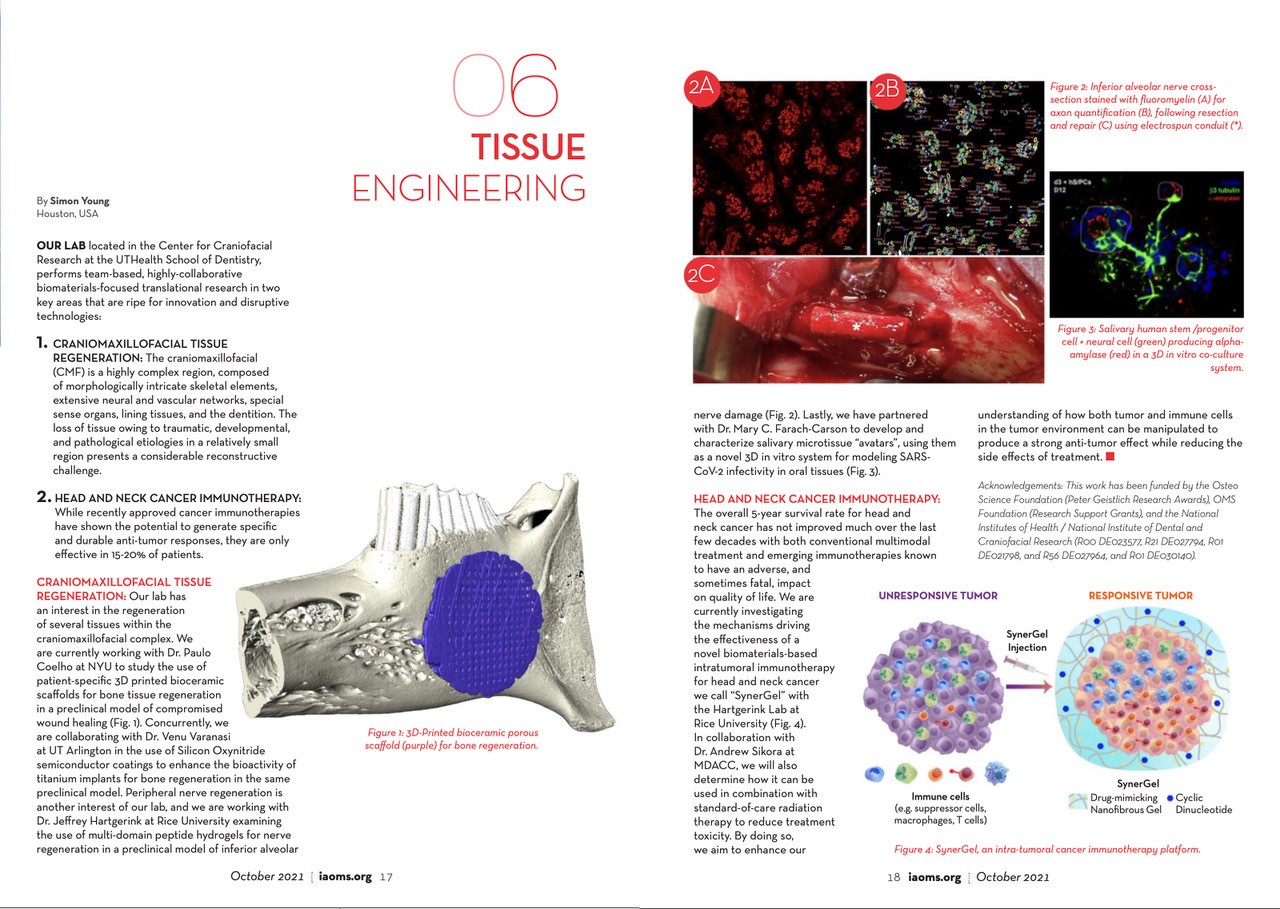 tissue-engineering.jpg
